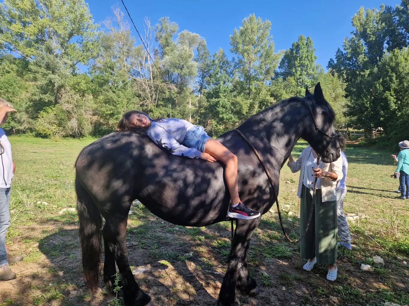 Équicoaching : développement personnel avec le cheval près d'Albi